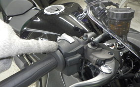 KAWASAKI NINJA 1100SX 2025 ZXT10H