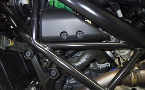 KTM 250 DUKE 2013