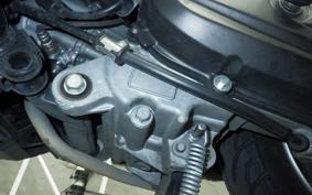 HONDA TACT Basket 2021 AF79