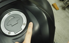 YAMAHA MT-25 A RG74J