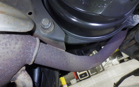 HONDA LEAD 100 2026 JF06