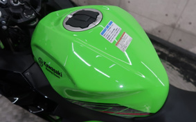 KAWASAKI NINJA 250 EX250Y