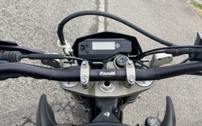 YAMAHA WR250X DG15J
