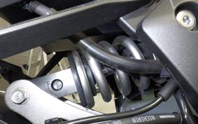 KAWASAKI NINJA 1000 A 2020 ZXT00W