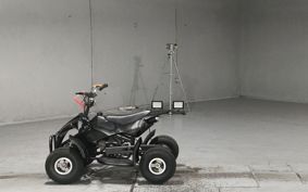 OTHER  BUGGY 50CC ..