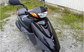 YAMAHA AKUSHI STREET SE53J