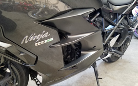 KAWASAKI NINJA H2 SX 2018 ZXT02A