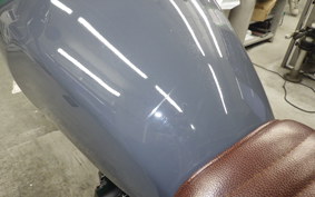 OTHER +MUTTｻﾊﾞｽ250