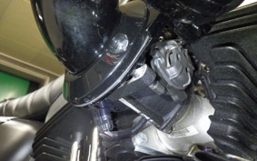 HARLEY XL883N 2020