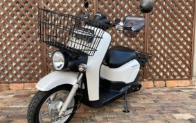 HONDA BENLY 110 JA09