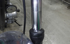 KAWASAKI ESTRELLA RS 2024 BJ250A