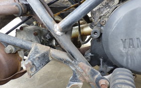 YAMAHA YT60 2023 56T