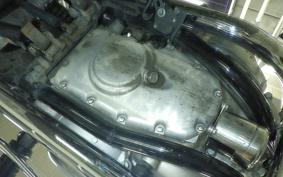 KAWASAKI W800 2022 EJ800E