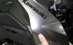 KAWASAKI Z125 PRO 2013 BR125H