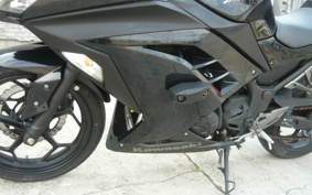 KAWASAKI NINJA 300 2013 EX300A