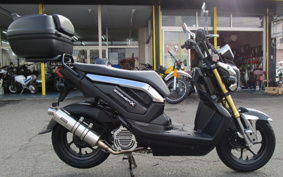 HONDA ZOOMER-X JF52