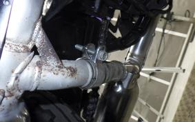 KAWASAKI W800 CAFE 2020 EJ800B