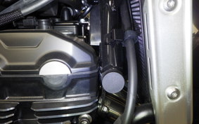 KAWASAKI Z900RS 2025 ZR900K