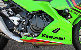 KAWASAKI NINJA 250 KRT ED EX250P