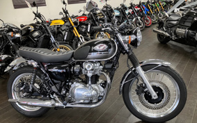 KAWASAKI W800 2025 EJ800E