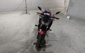 KAWASAKI Z250 EX250P