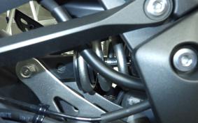 KAWASAKI NINJA 1100SX 2025 ZXT10H