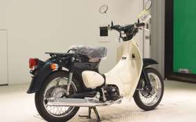 HONDA LITTLE CUB E AA01