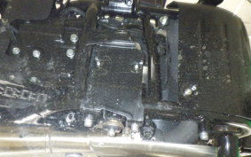 OTHER +BSA GOLDSTAR650 2025
