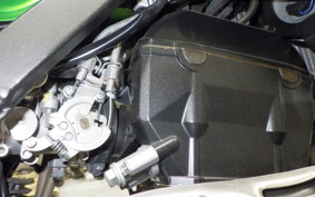 KAWASAKI KLX250D TRACKER X 2025 LX250V