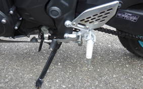 YAMAHA MT-25 A RG74J