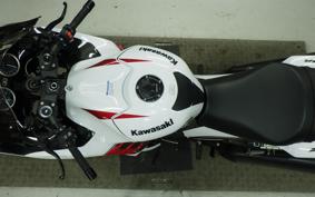 KAWASAKI ZX 1400 NINJA R A 2020