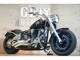 Фото Harley FLSTFB 2011 с японского аукциона
