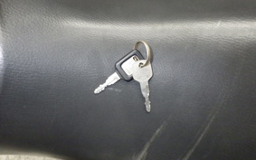 KAWASAKI ZZ-R250 2024 EX250H