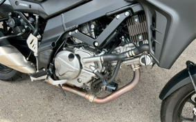 SUZUKI DL650 ( V-Strom 650 ) 2021 C733A