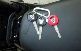 YAMAHA XSR900 2024 RN80J