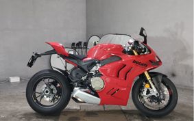DUCATI PANIGA-REV4S 2024 3D00AA