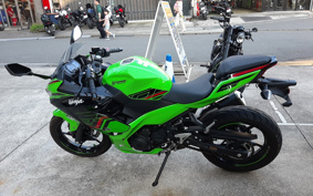 KAWASAKI NINJA 250 KRT ED EX250Y