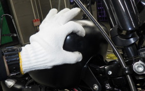HARLEY XL883N 2019