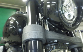 HARLEY FXLRS1870 2021