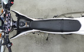 YAMAHA WR250X 2020 DG15J