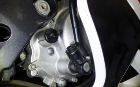 YAMAHA TZR250 R 2021 3XV