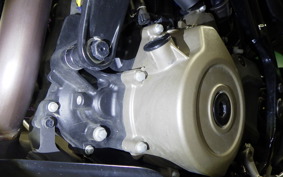 HUSQVARNA SVARTPILEN 401 2024