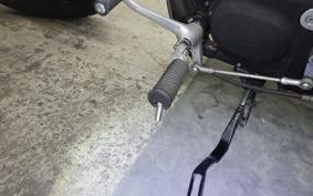 HARLEY XL1200CB 2012