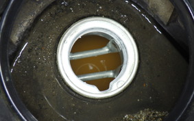 HONDA TACT-4ﾍﾞｰｼｯｸ 2026 AF75