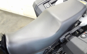 SUZUKI STROM 250 DS11A
