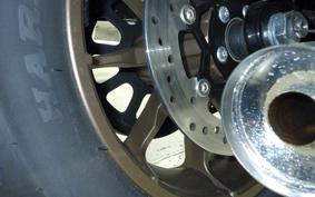 HARLEY FXLRST1920 2025