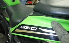 KAWASAKI ZX-25R 2004 ZX250E