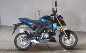 KAWASAKI Z125 PRO  BR125H