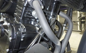 SUZUKI Vｽﾄﾛｰﾑ250