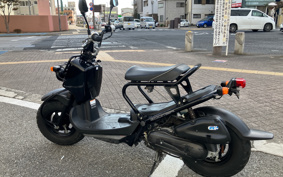 HONDA ZUMAR AF58